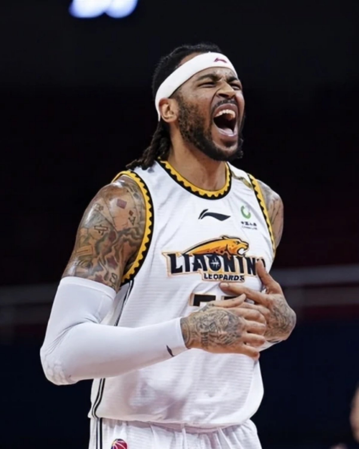 猛龙队球员名单主力